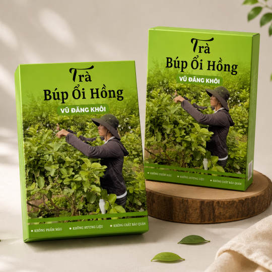 Hộp Giấy 15