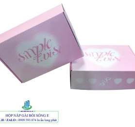 Hộp carton 04